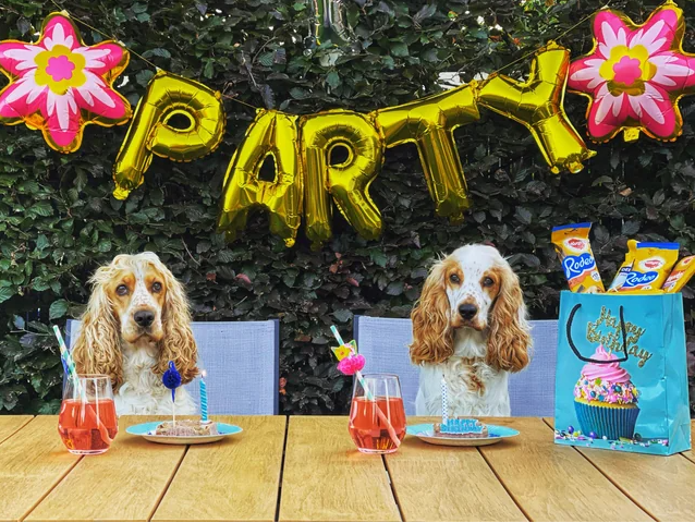 Dog birthday party invitation list
