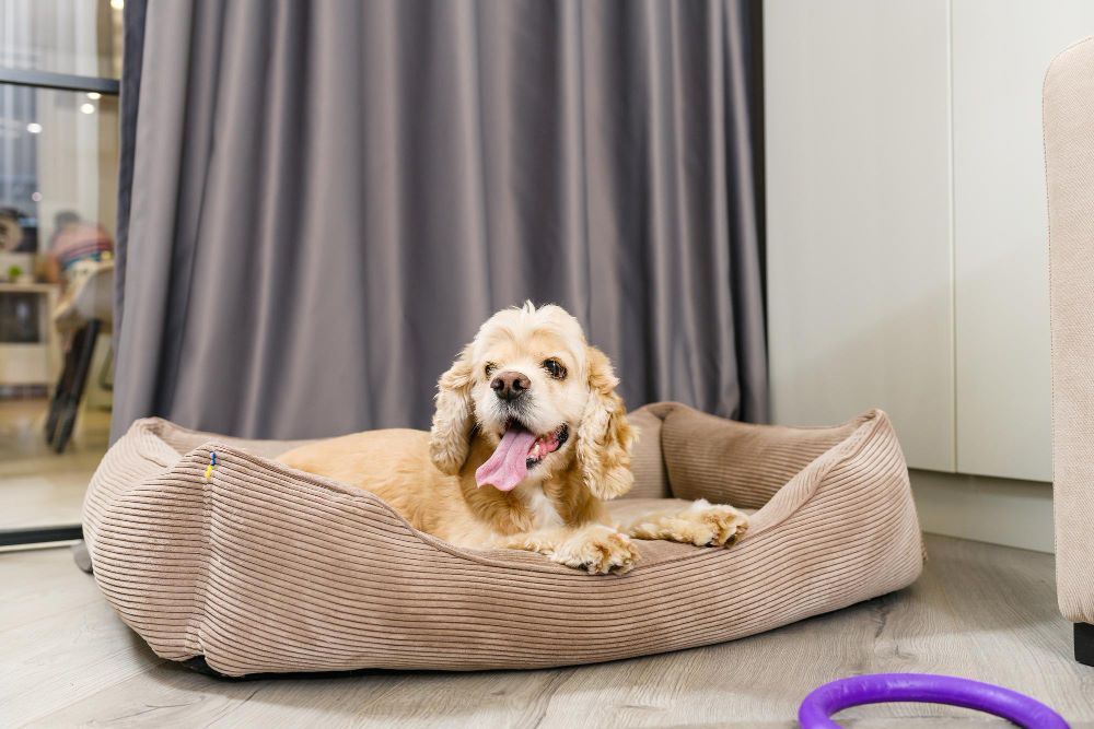 Crate liners bed for dog