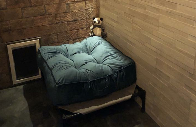 Choose The Best Dog Beds