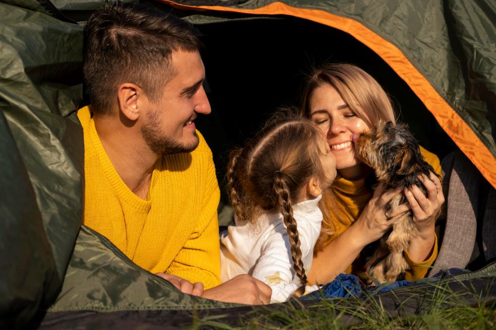 Camping with your dog in the Summer