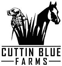 Purebred Dogs & Horses - Cuttin Blue Farms
