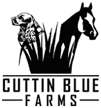 cuttin blue farms: Purebred Dogs & Horses